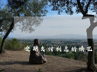 逾期支付利息的情况 逾期支付利息的情况