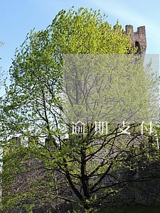 逾期支付利息的最新规定 逾期支付利息的最新规定