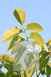 逾期支付利息的相关规定 逾期支付利息的相关规定