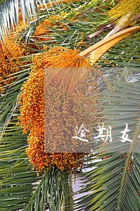逾期支付利息的计算公式 逾期支付利息的计算公式
