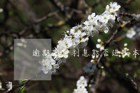 逾期支付利息能否进成本 逾期支付利息能否进成本