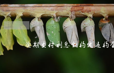 逾期支付利息能约定违约金吗 逾期支付利息能约定违约金吗