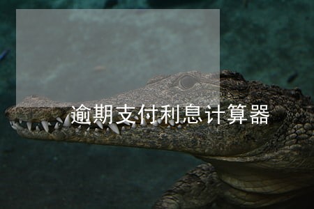 逾期支付利息计算器 逾期支付利息计算器