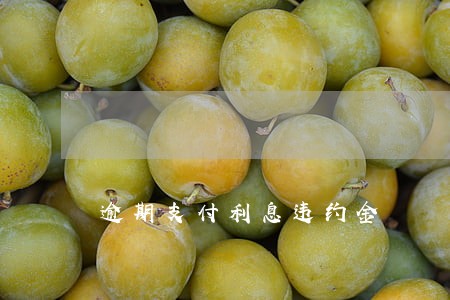逾期支付利息违约金 逾期支付利息违约金