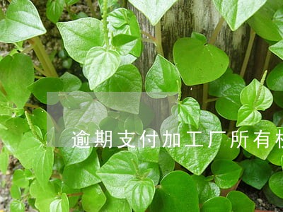 逾期支付加工厂所有权归甲方 逾期支付加工厂所有权归甲方