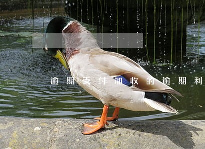 逾期支付加收的逾期利息