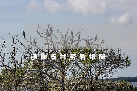 逾期支付劳务报酬 逾期支付劳务报酬
