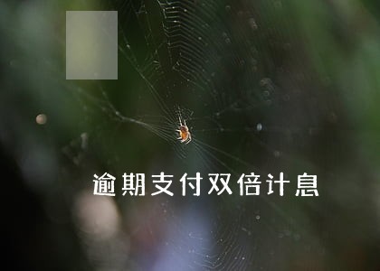 逾期支付双倍计息 逾期支付双倍计息