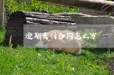 逾期支付合同怎么写 逾期支付合同怎么写