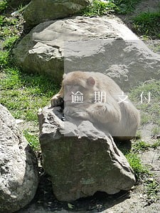 逾期支付合同款项违约责任