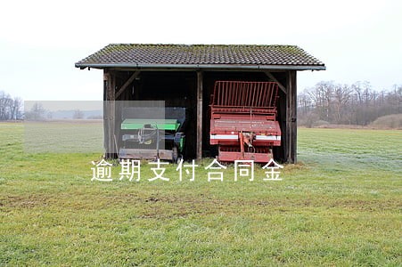 逾期支付合同金