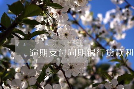 逾期支付同期银行贷款利率 逾期支付同期银行贷款利率