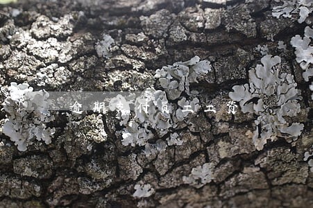 逾期支付员工工资 逾期支付员工工资