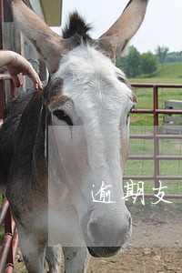 逾期支付和逾期付款有区别吗 逾期支付和逾期付款有区别吗