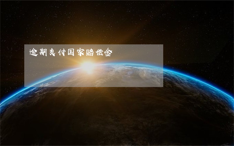 逾期支付国家赔偿金 逾期支付国家赔偿金