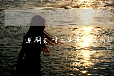 逾期支付土地使用权出让金 逾期支付土地使用权出让金