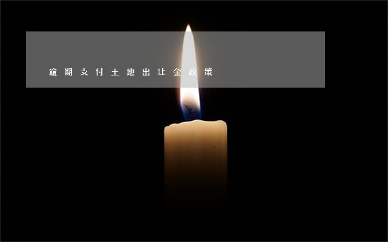 逾期支付土地出让金政策 逾期支付土地出让金政策
