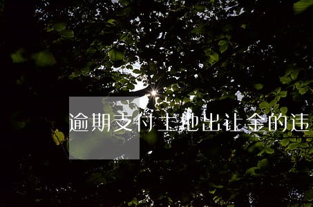 逾期支付土地出让金的违约金 逾期支付土地出让金的违约金