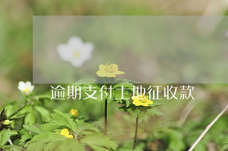 逾期支付土地征收款 逾期支付土地征收款