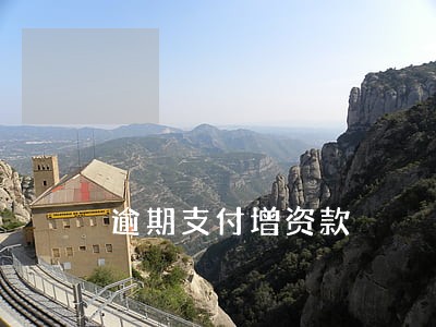 逾期支付增资款 逾期支付增资款