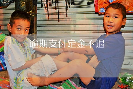 逾期支付定金不退 逾期支付定金不退
