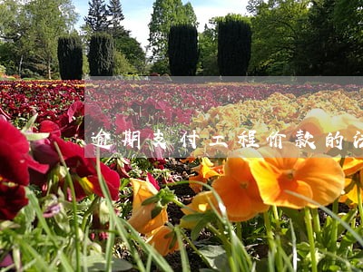 逾期支付工程价款的法条 逾期支付工程价款的法条