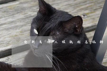逾期支付工程款利息抗辩 逾期支付工程款利息抗辩