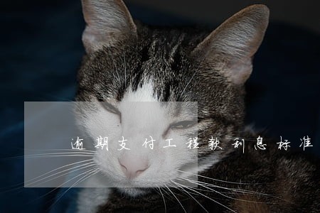 逾期支付工程款利息标准 逾期支付工程款利息标准