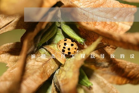 逾期支付工程款导致的设备 逾期支付工程款导致的设备