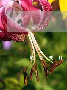 逾期支付工程款有利息吗 逾期支付工程款有利息吗