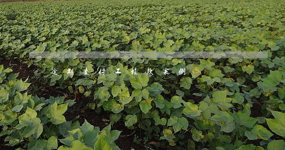 逾期支付工程款案例 逾期支付工程款案例