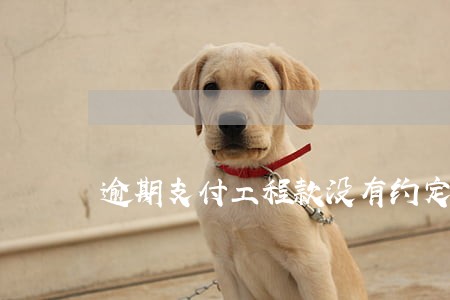 逾期支付工程款没有约定违约金 逾期支付工程款没有约定违约金