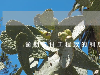 逾期支付工程款的利息与违约金 逾期支付工程款的利息与违约金