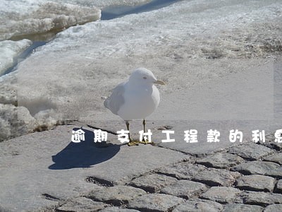 逾期支付工程款的利息的法律规定