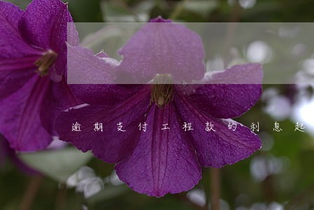 逾期支付工程款的利息起算 逾期支付工程款的利息起算