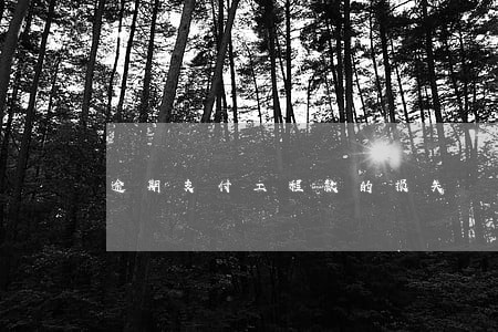 逾期支付工程款的损失 逾期支付工程款的损失