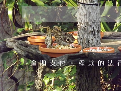 逾期支付工程款的法律依据 逾期支付工程款的法律依据