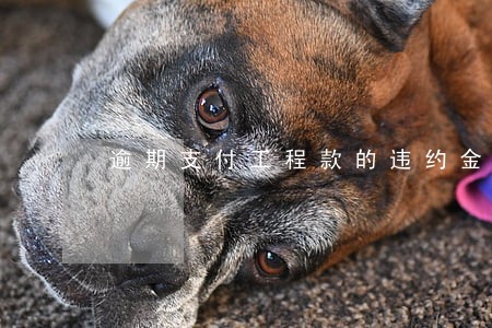 逾期支付工程款的违约金 逾期支付工程款的违约金