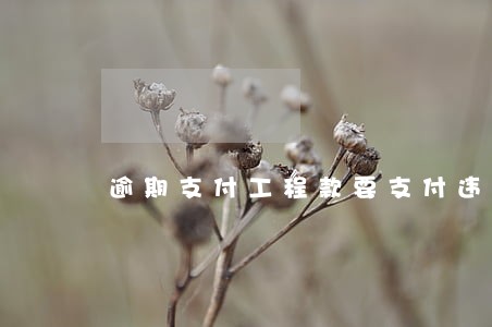 逾期支付工程款要支付违约金 逾期支付工程款要支付违约金
