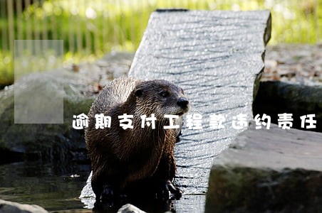 逾期支付工程款违约责任 逾期支付工程款违约责任