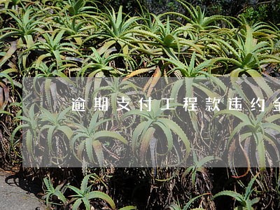 逾期支付工程款违约金怎么计算 逾期支付工程款违约金怎么计算