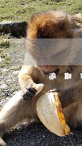 逾期支付工程进度款的规定 逾期支付工程进度款的规定