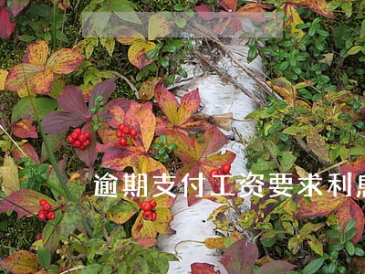 逾期支付工资要求利息 逾期支付工资要求利息