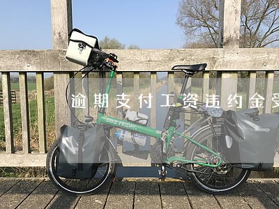 逾期支付工资违约金受保护吗