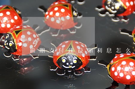 逾期支付建设期利息怎么算 逾期支付建设期利息怎么算