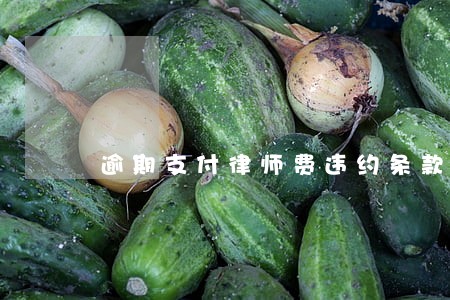 逾期支付律师费违约条款 逾期支付律师费违约条款