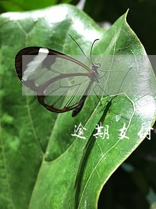 逾期支付房款开发商要求违约金 逾期支付房款开发商要求违约金