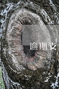 逾期支付房款有何后果 逾期支付房款有何后果