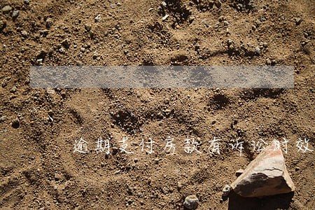 逾期支付房款有诉讼时效吗 逾期支付房款有诉讼时效吗