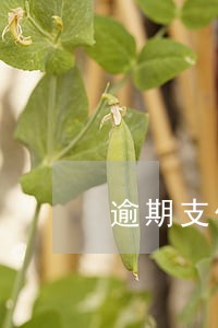 逾期支付房款的违约金多少合适 逾期支付房款的违约金多少合适